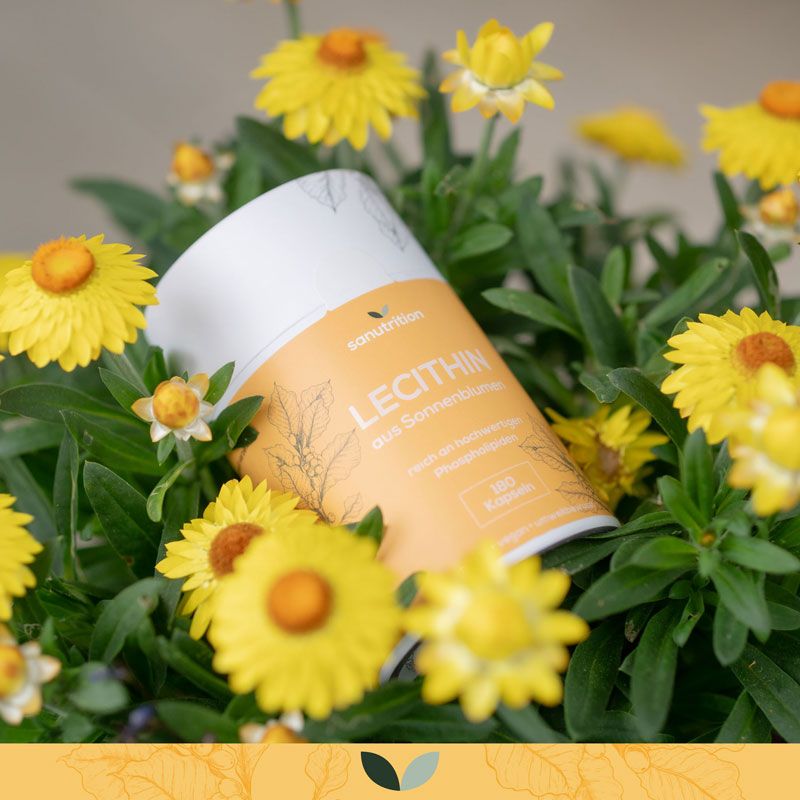 Sanutrition® - Lecithin aus Sonnenblumen 600 mg