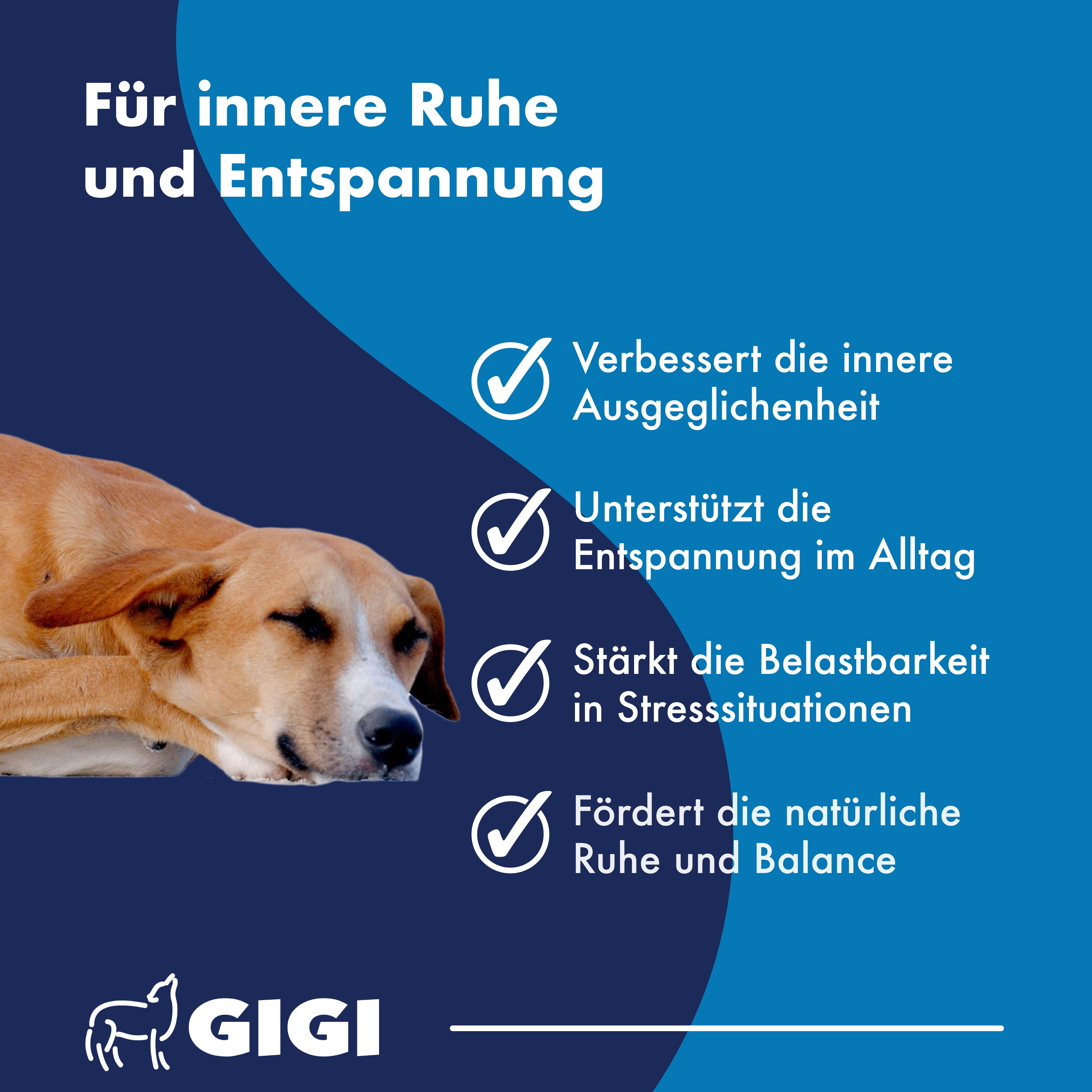 Für innere Ruhe und Entspannung bei Haustieren. Fördert Ausgeglichenheit und unterstützt bei Stress.