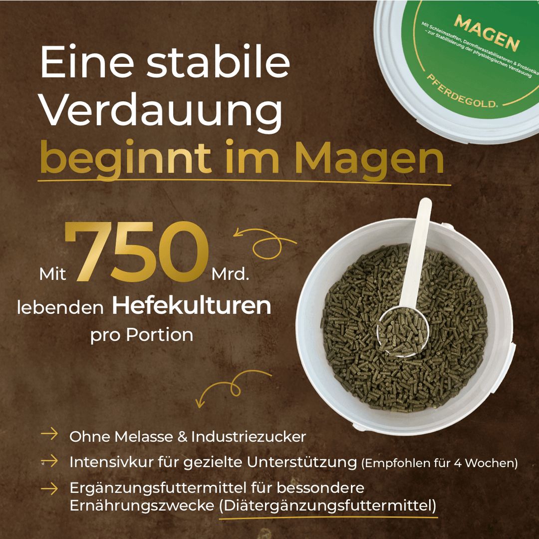 Pferdegold Magen