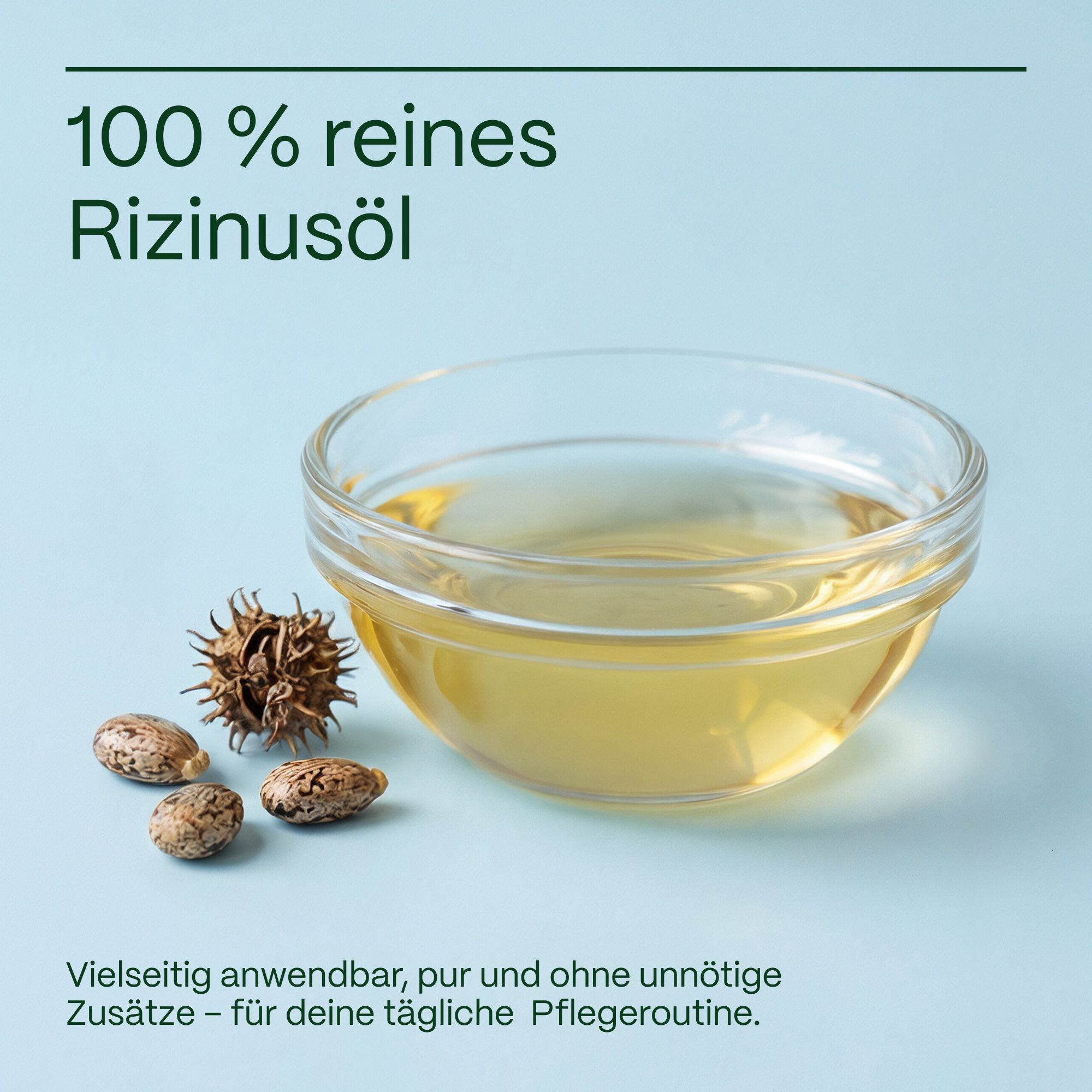 Schale mit Rizinusöl, Rizinussamen und Schoten.