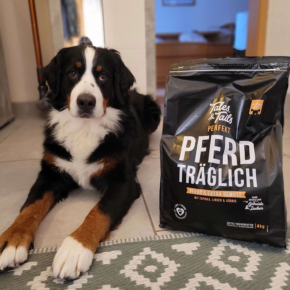 Tales & Tails Perfekt PferdTräglich - Softes Trockenfutter mit Pferd