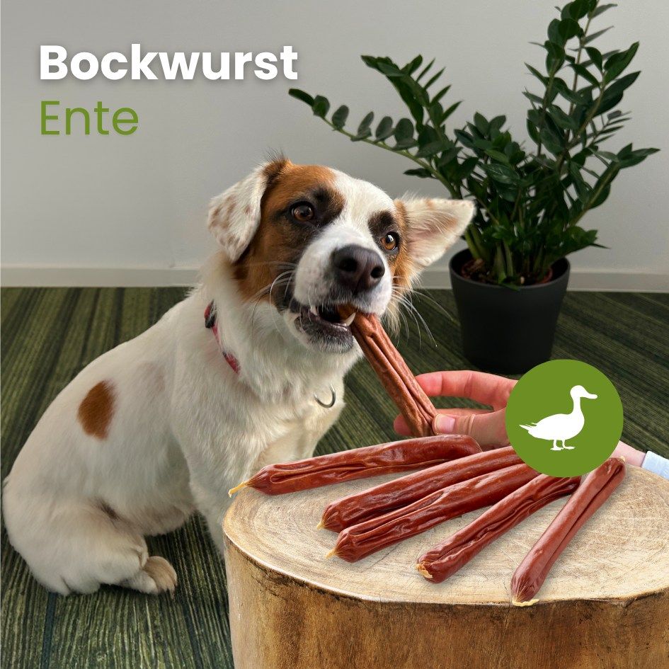 Fünf dünne, braune Würste mit gelben Enden auf weißem Grund.