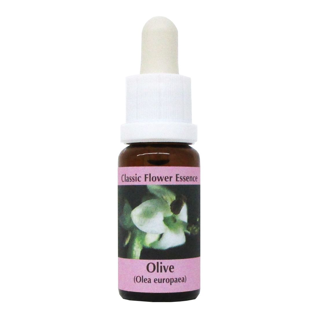 PHI Essences - Olive Bachblüte Nr. 23