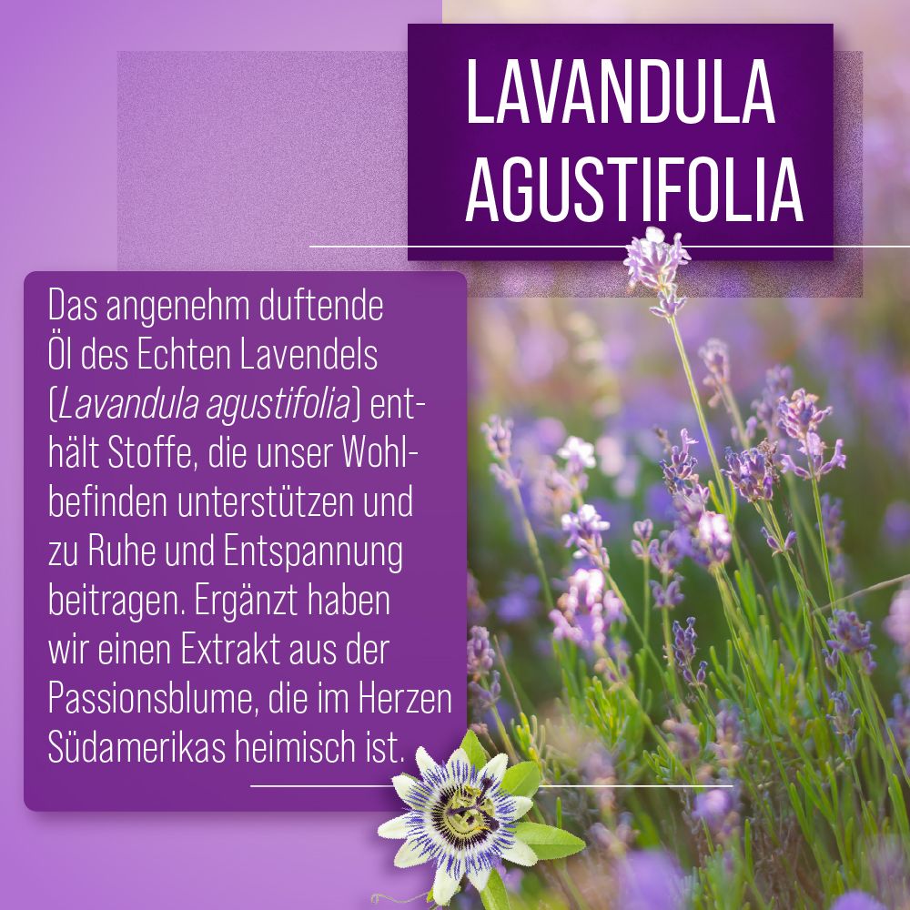 Lavendelfeld mit Text: Lavandula angustifolia. Text beschreibt die Verwendung von echtem Lavendelöl zur Unterstützung des Wohlbefindens.