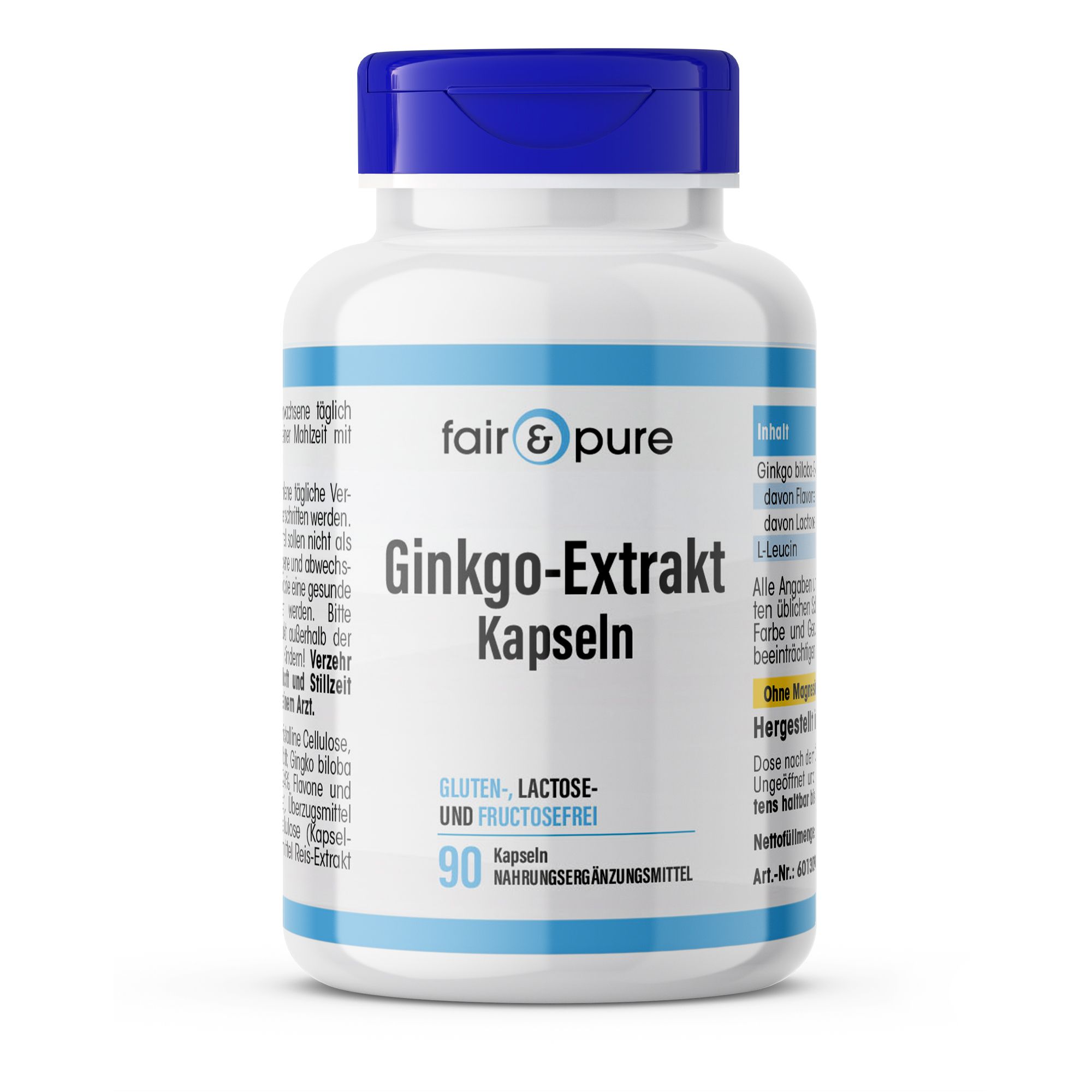 Ginkgo Extrakt 100 mg Kapseln 90 St
