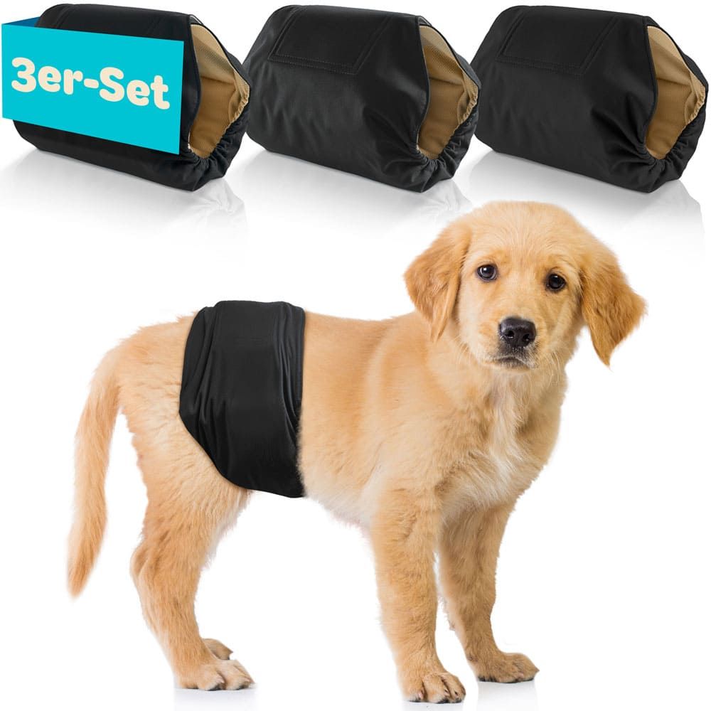 Drei schwarze Hundewindeln. Ein Welpe trägt eine Windel. Text: 3er-Set.