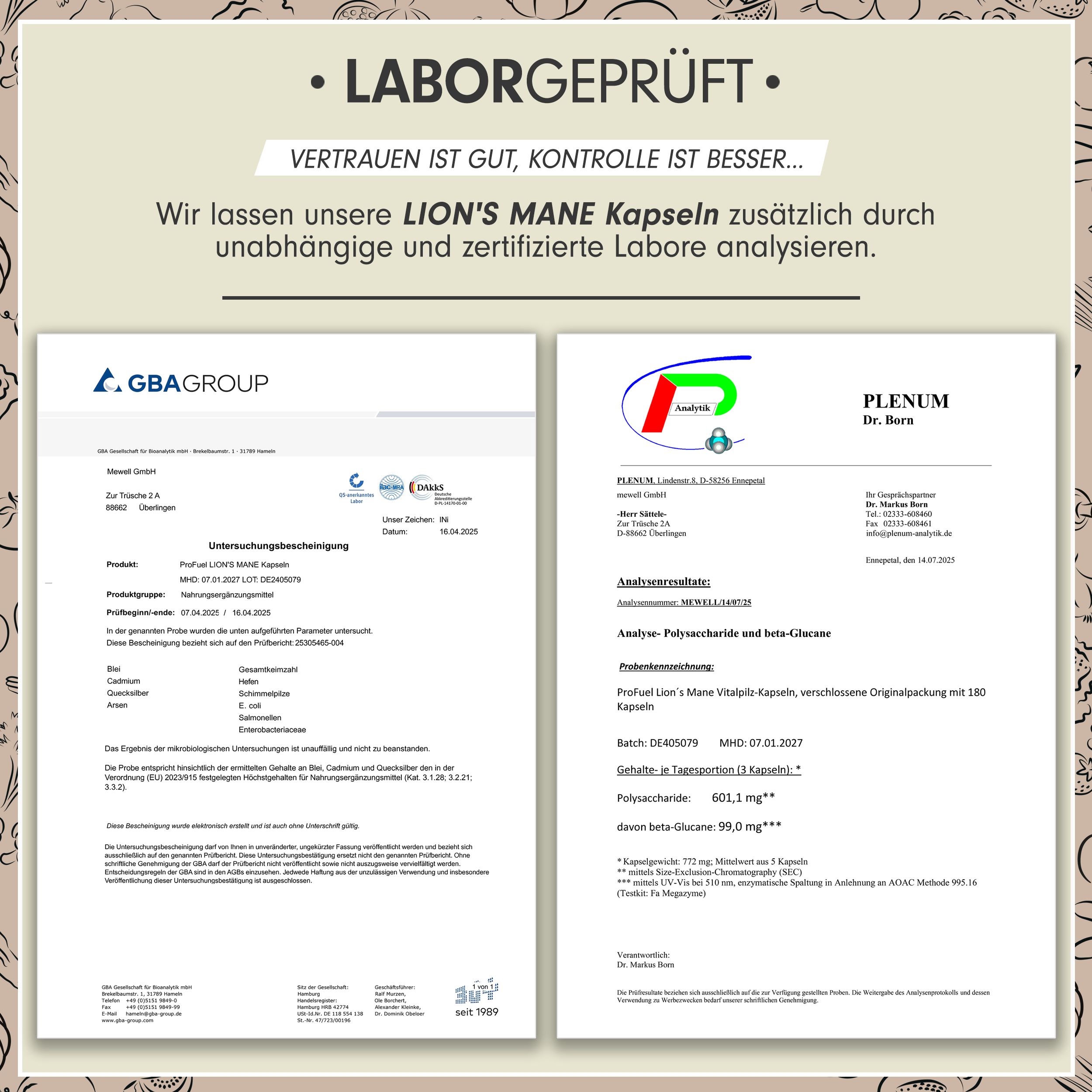 Zwei Laborzertifikate. Analyseergebnisse von Lion's Mane Kapseln. Zertifizierungen von GBA Group und Plenum Dr. Bern.