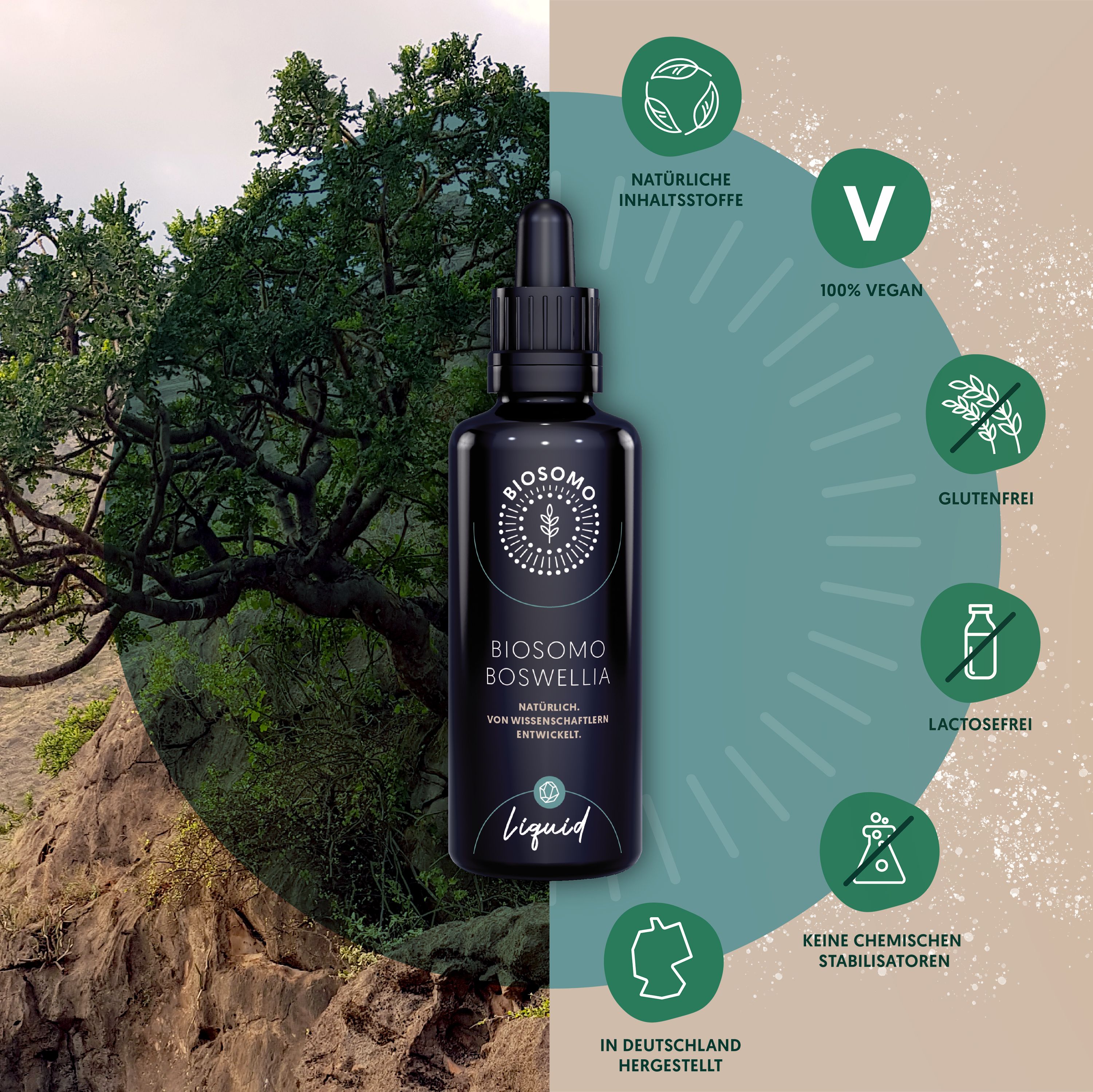 BIOSOMO hochkonzentriertes Boswellia Serrata-Extrakt