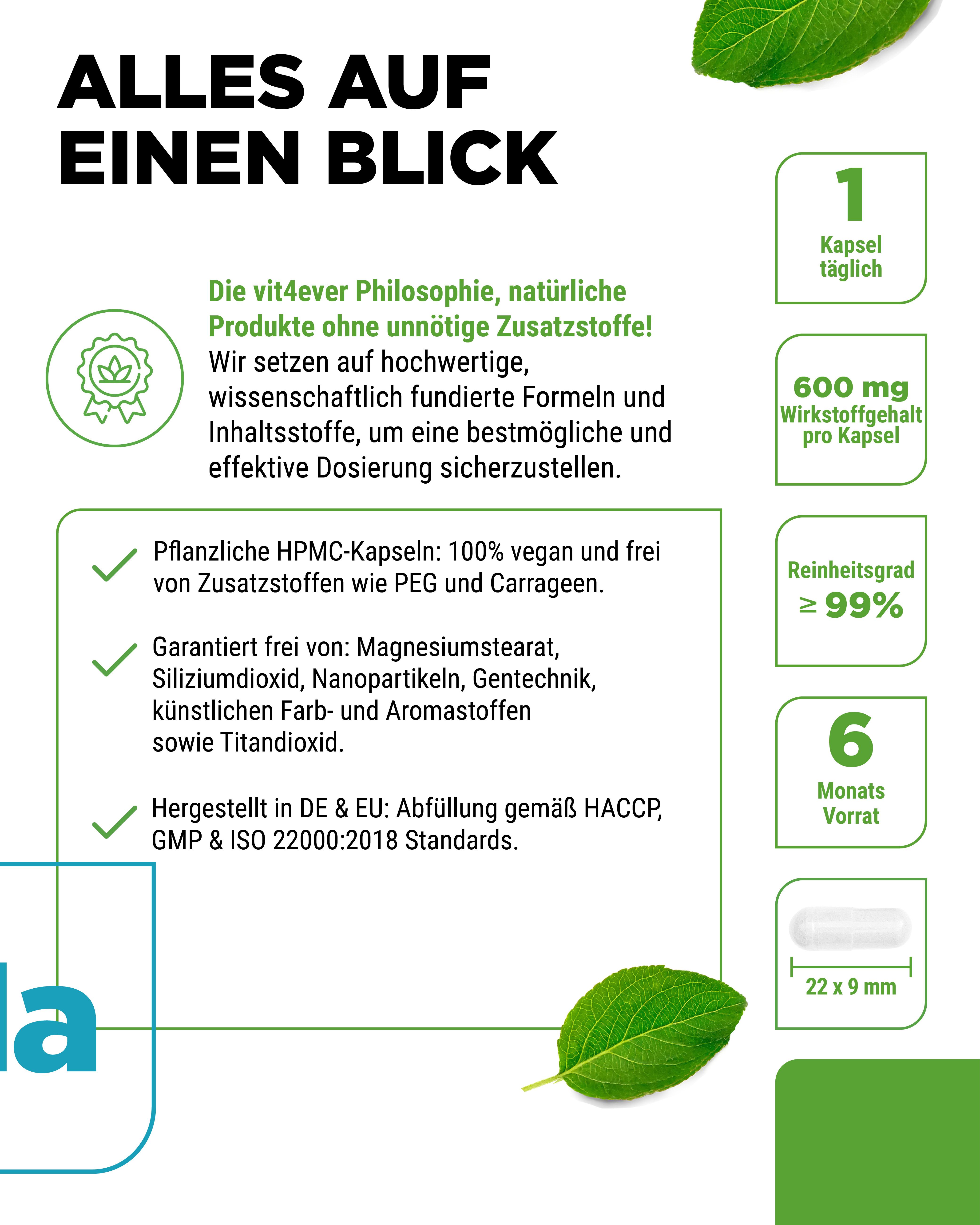 Text mit Informationen über das Produkt. Flasche: Sodium Butyrate 90% Buttersäure, 180 Kapseln, vegan. Marke: vit4ever. Icons: 1 Kapsel, 600 mg, 6 Monate Vorrat.