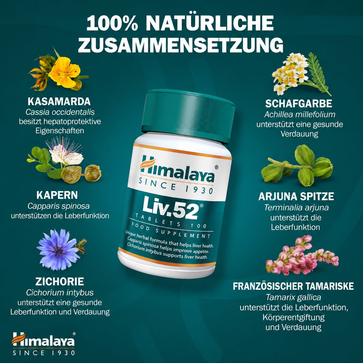 Himalaya Liv.52 Tabletten: Flasche umgeben von 8 ayurvedischen Kräutern.
