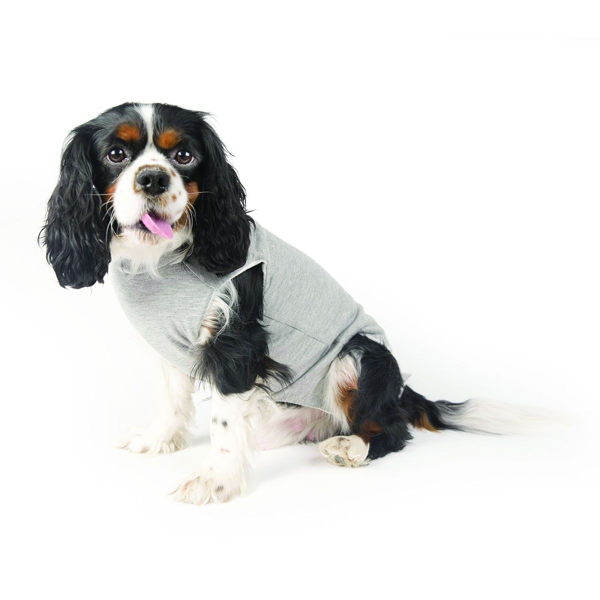 Fashion Dog Cura Pets OP- und Wundschutz-Body für Hunde und Katzen