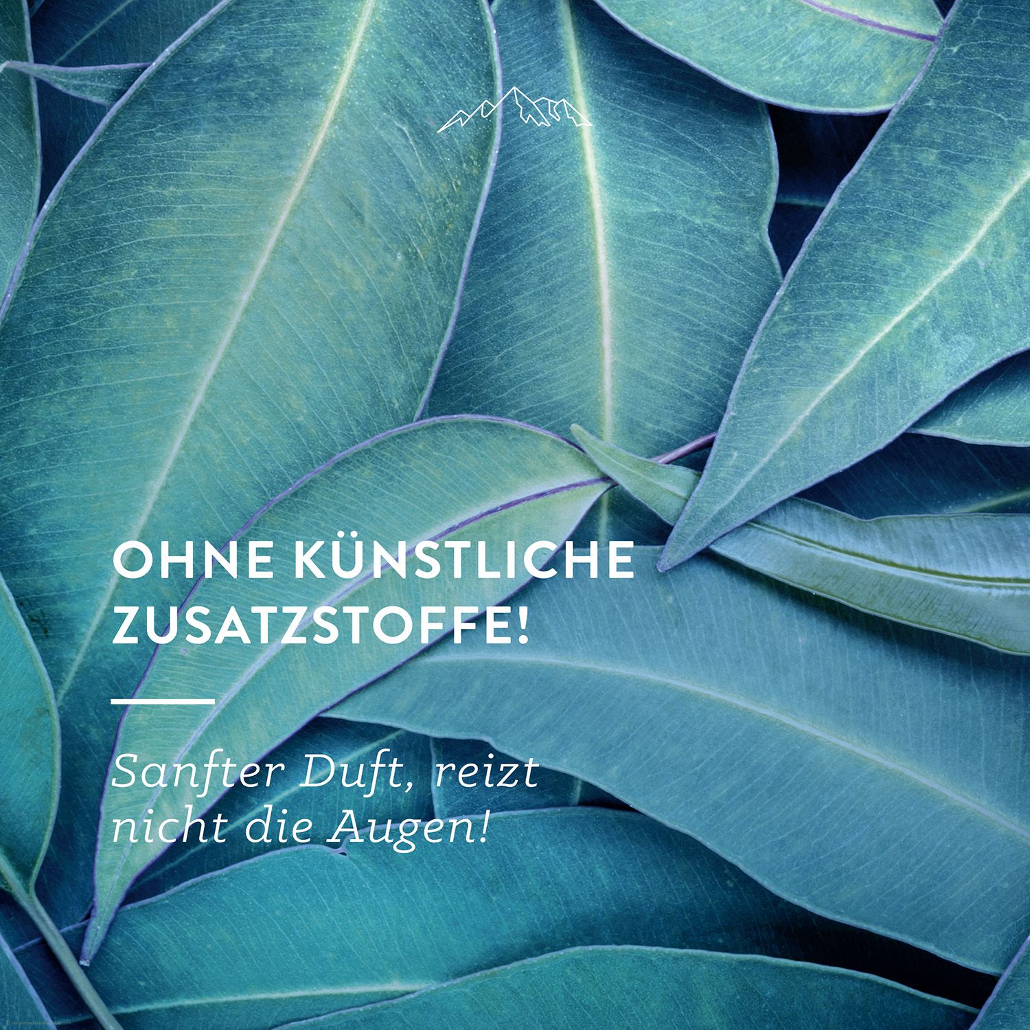Grüne Blätter. Text: Ohne künstliche Zusatzstoffe! Sanfter Duft, reizt nicht die Augen!