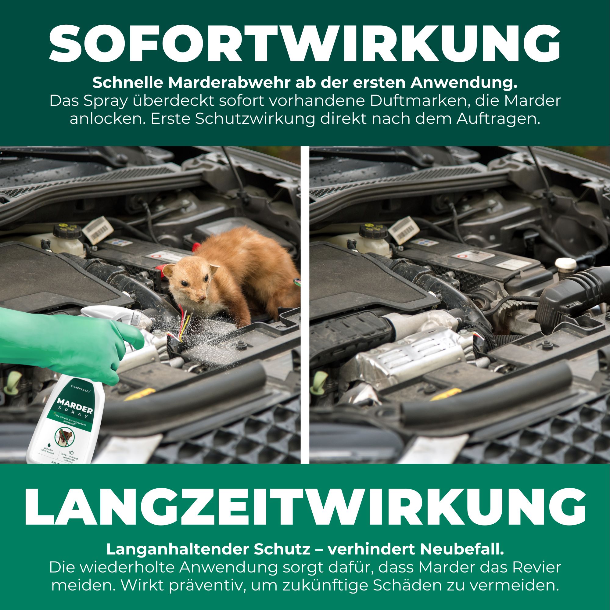 SILBERKRAFT Marderspray