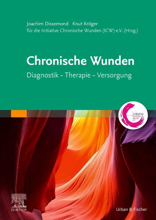 Buchcover: "Chronische Wunden". Titel, Autoren, Logos von Elsevier und Urban & Fischer. Hintergrund: farbige Felsformation.