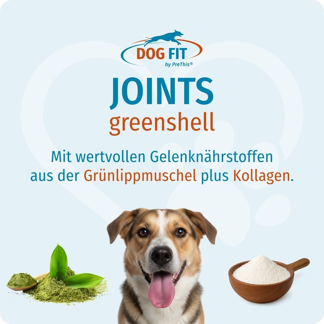 DOG FIT by PreThis® JOINTS greenshell » Grünlippmuschel + Kollagen für Hunde » medium