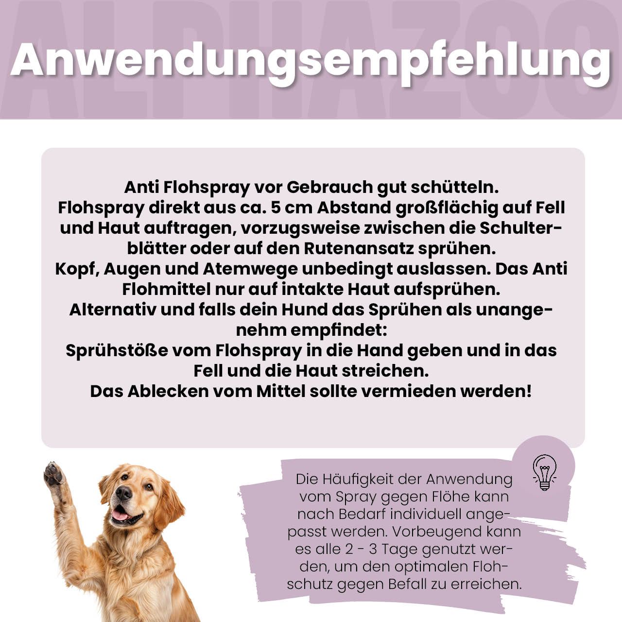 Goldener Retriever. Text: Anwendungsempfehlung. Flohspray auf Fell auftragen. Augen und Atemwege aussparen.