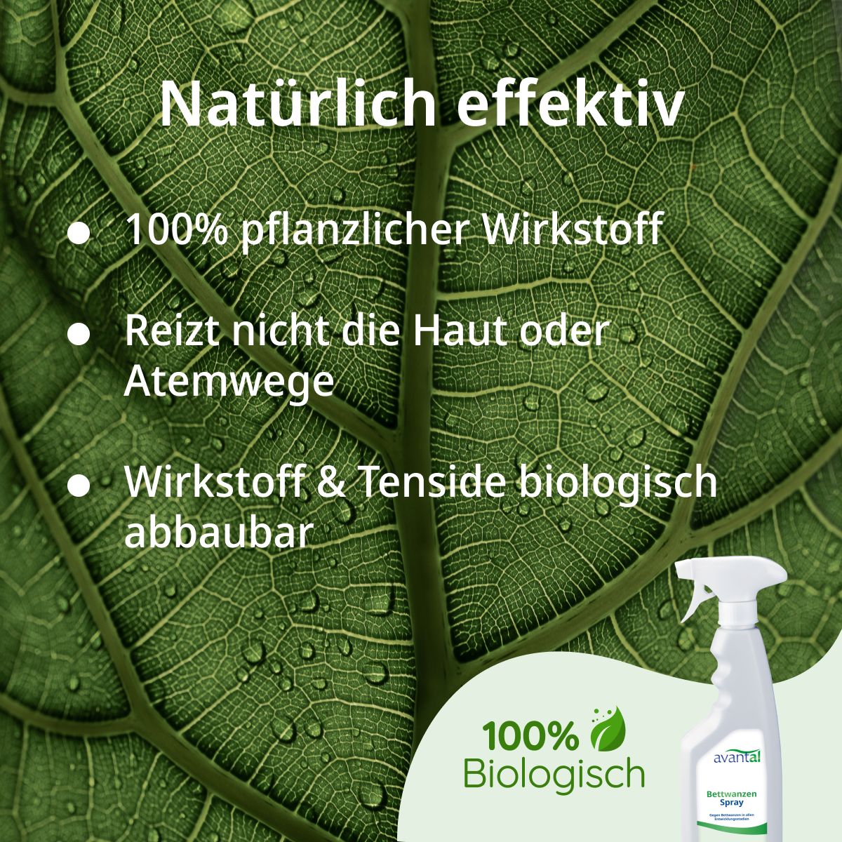 avantal® Bettwanzenspray