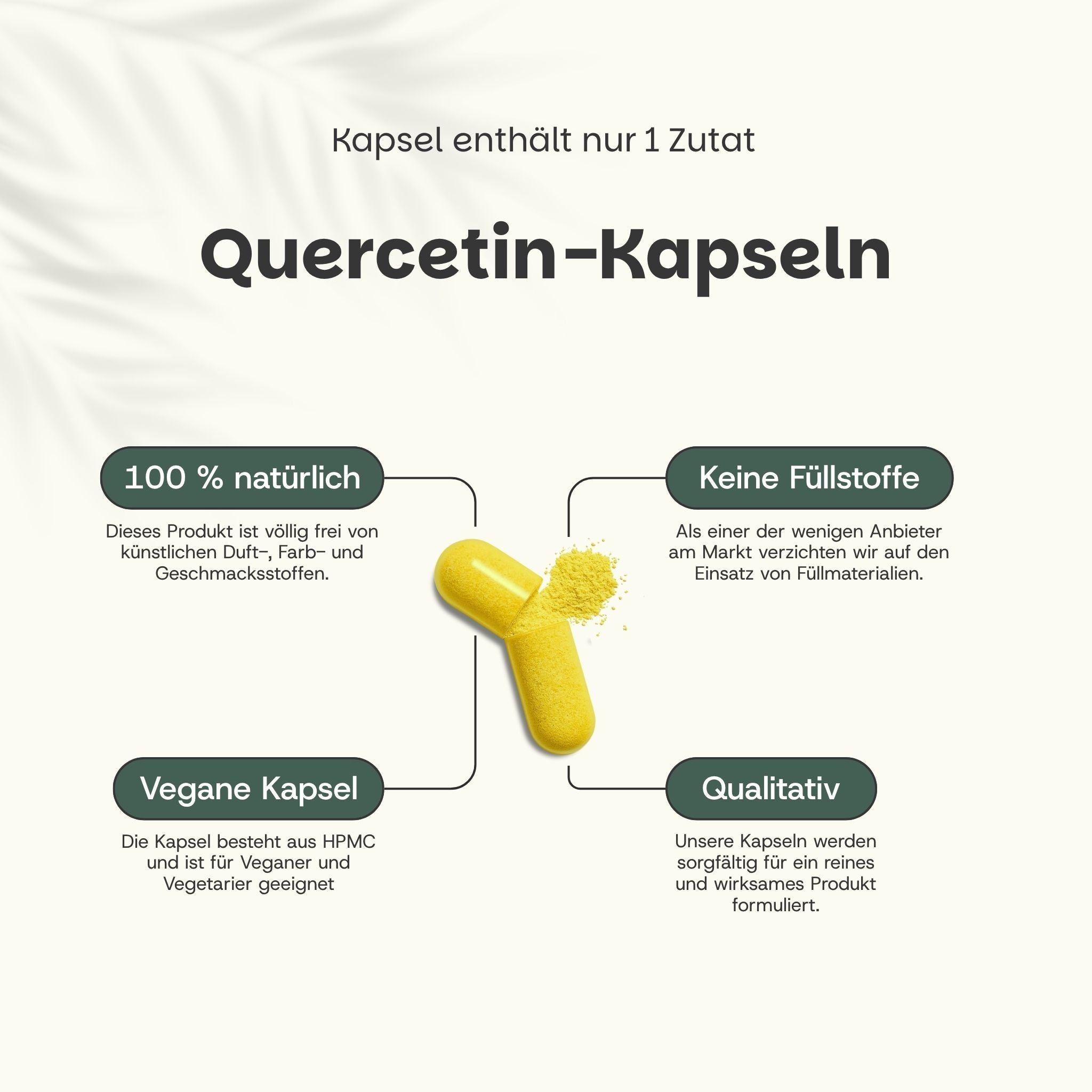 Grafik mit gelber Kapsel und Pulver. Text: Quercetin-Kapseln, 100% natürlich, vegan.