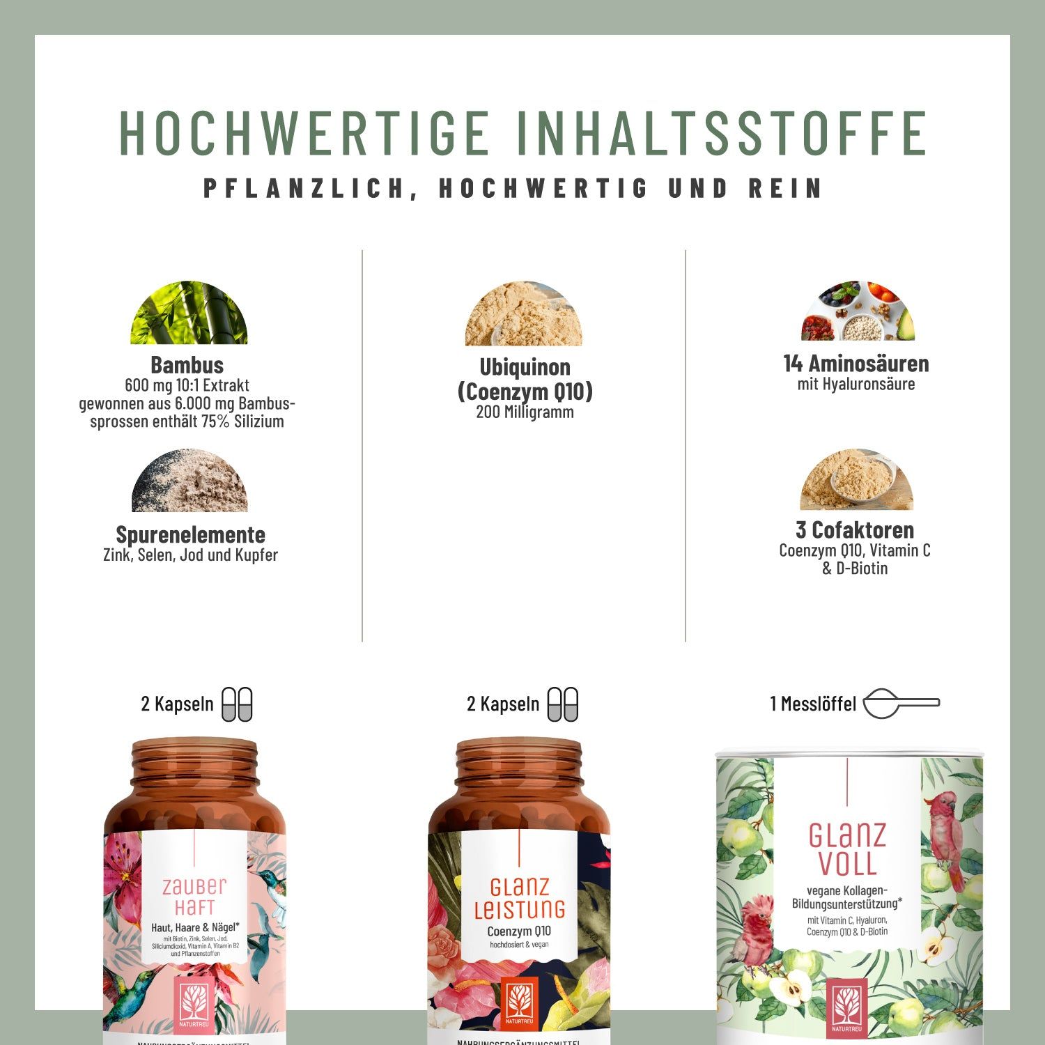 Infografik mit Inhaltsstoffen des Haut-Haare-Nägel-Pakets. Bambus, Ubiquinon, Aminosäuren, Spurenelemente, Cofaktoren. Produkte abgebildet.