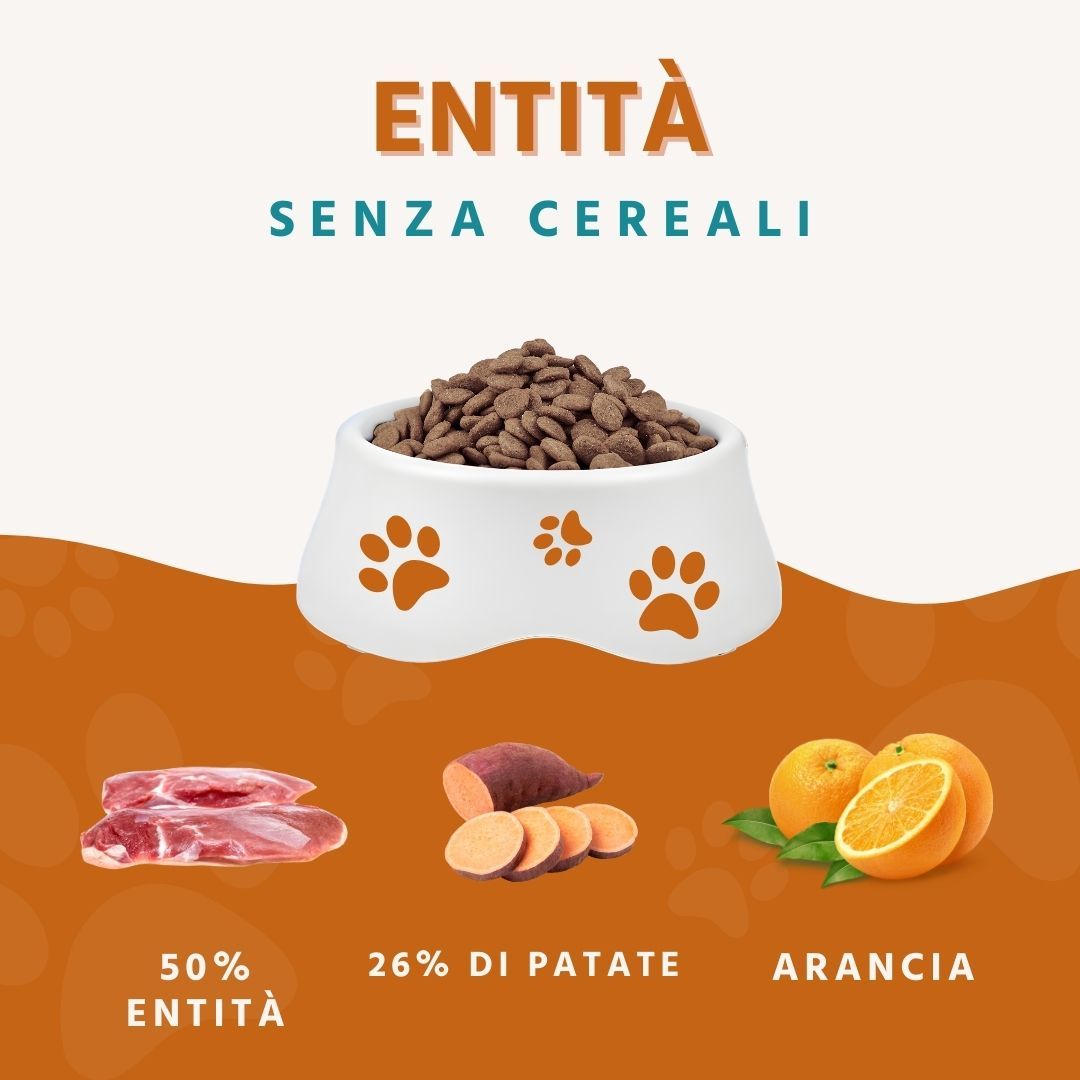 Hundenapf mit Trockenfutter. Daneben Fleisch, Süßkartoffelscheiben und Orangen. Text: Entità senza cereali.