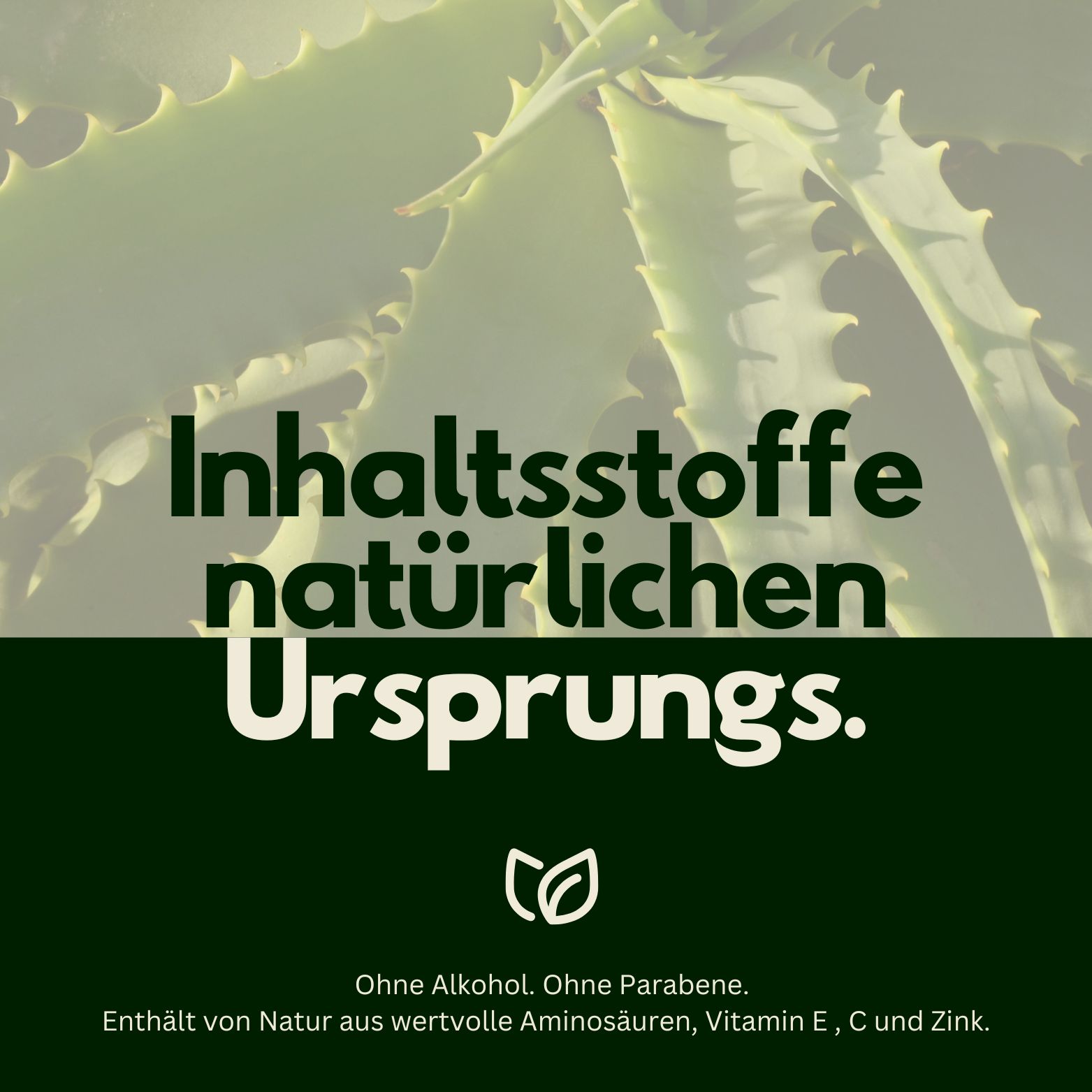 Aloe Vera Pflanze mit Text 'Inhaltsstoffe natürlichen Ursprungs'.