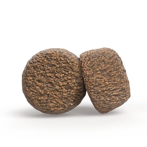 Zwei braune, runde Kroketten. Trockenfutter für Hunde, Nahaufnahme, isoliert auf weißem Hintergrund.