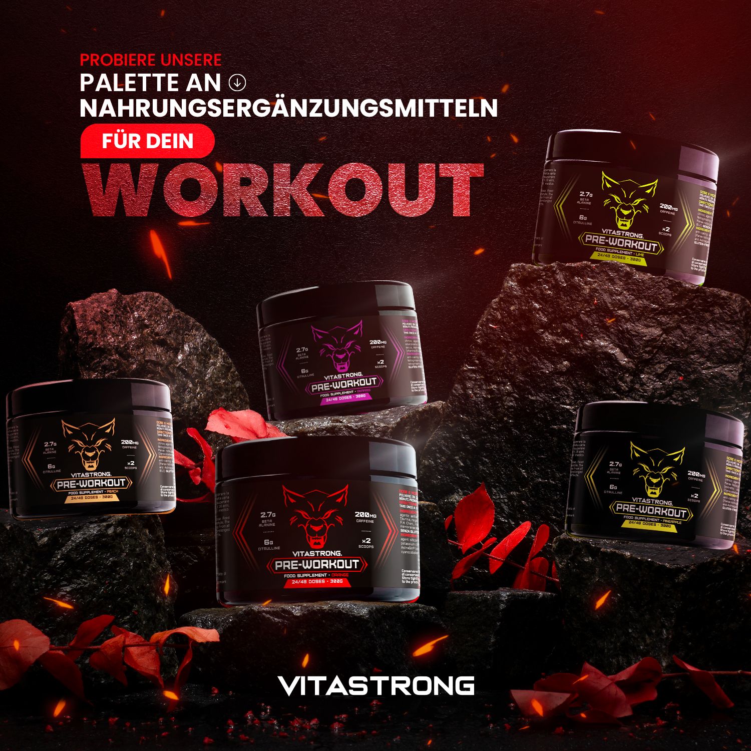Mehrere Dosen Vitastrong Pre-Workout auf Felsen. Schwarze Dosen mit rotem Wolf. Produktname und Details sichtbar.