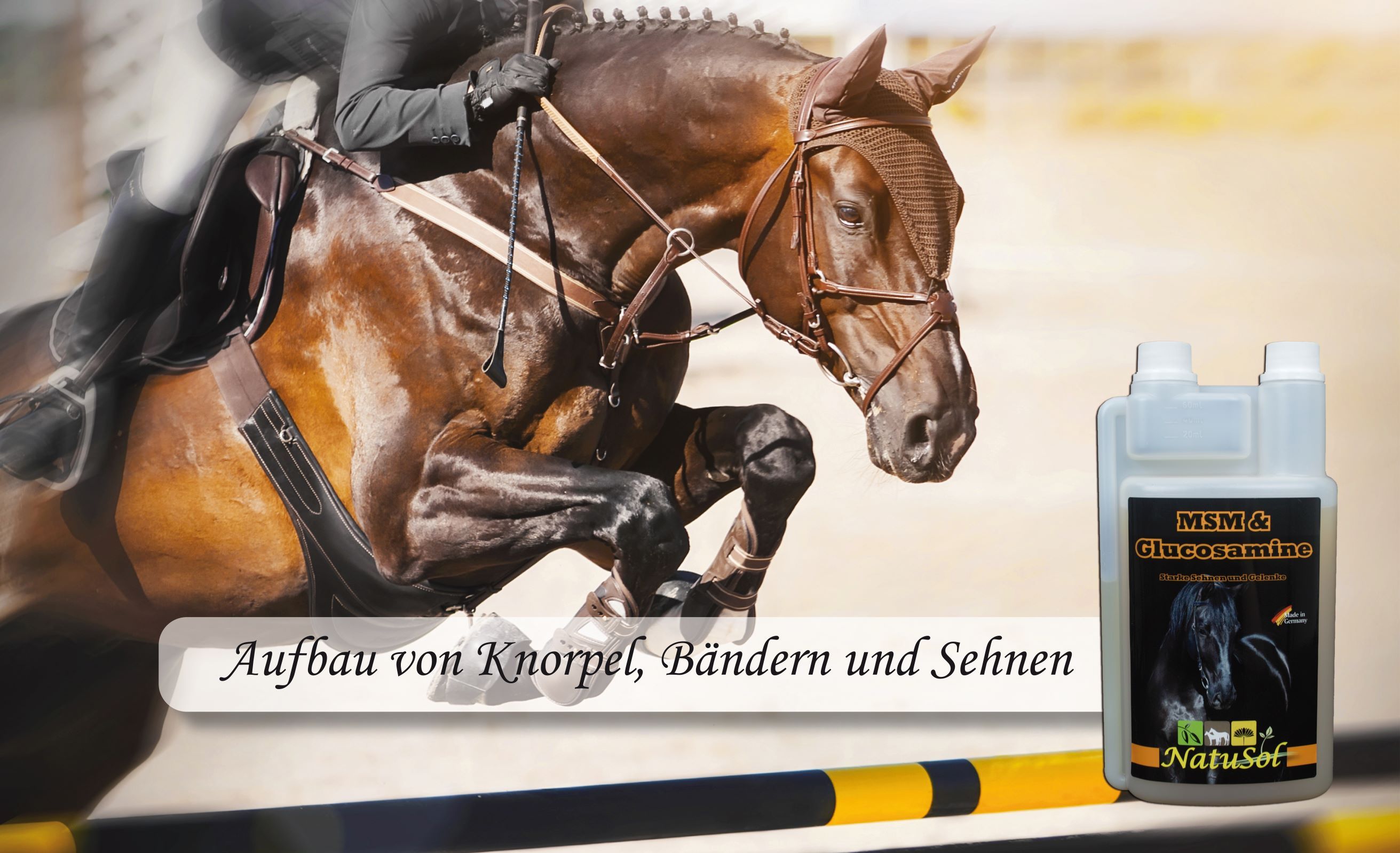 NatuSol MSM & Glucosamine für Pferde - für Knorpel, Bänder und Sehnen