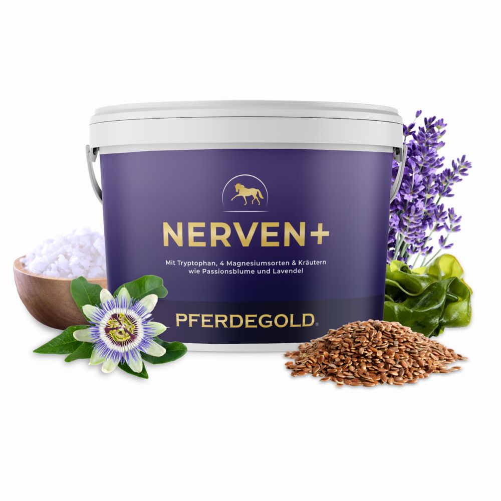 Pferdegold Nerven+