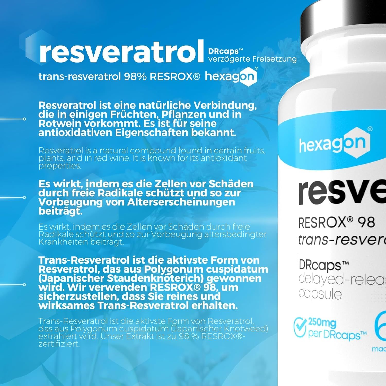 Hexagon Resveratrol Kapsel