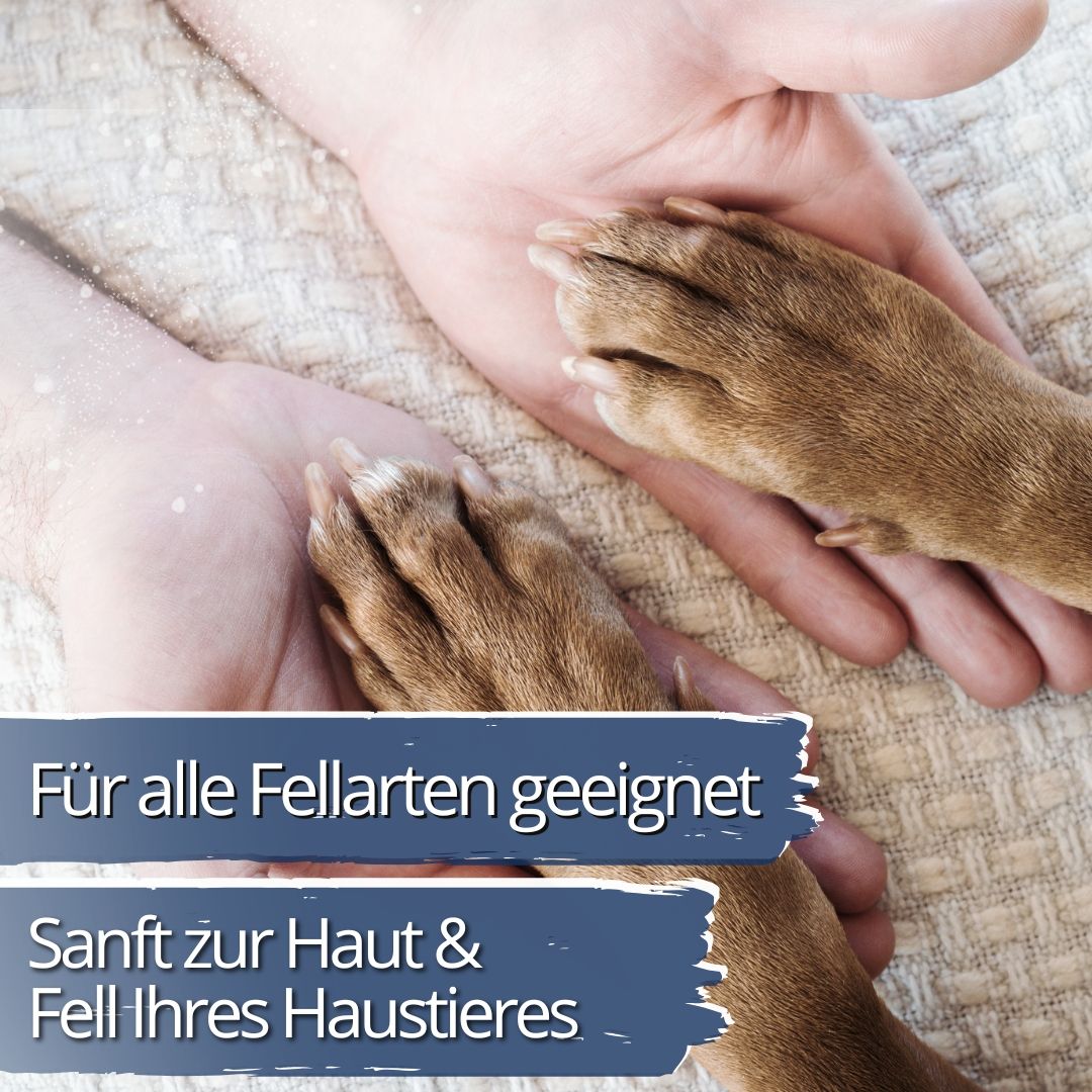 Hände halten Pfoten von Haustieren, mit Text über Haut- und Fellverträglichkeit.