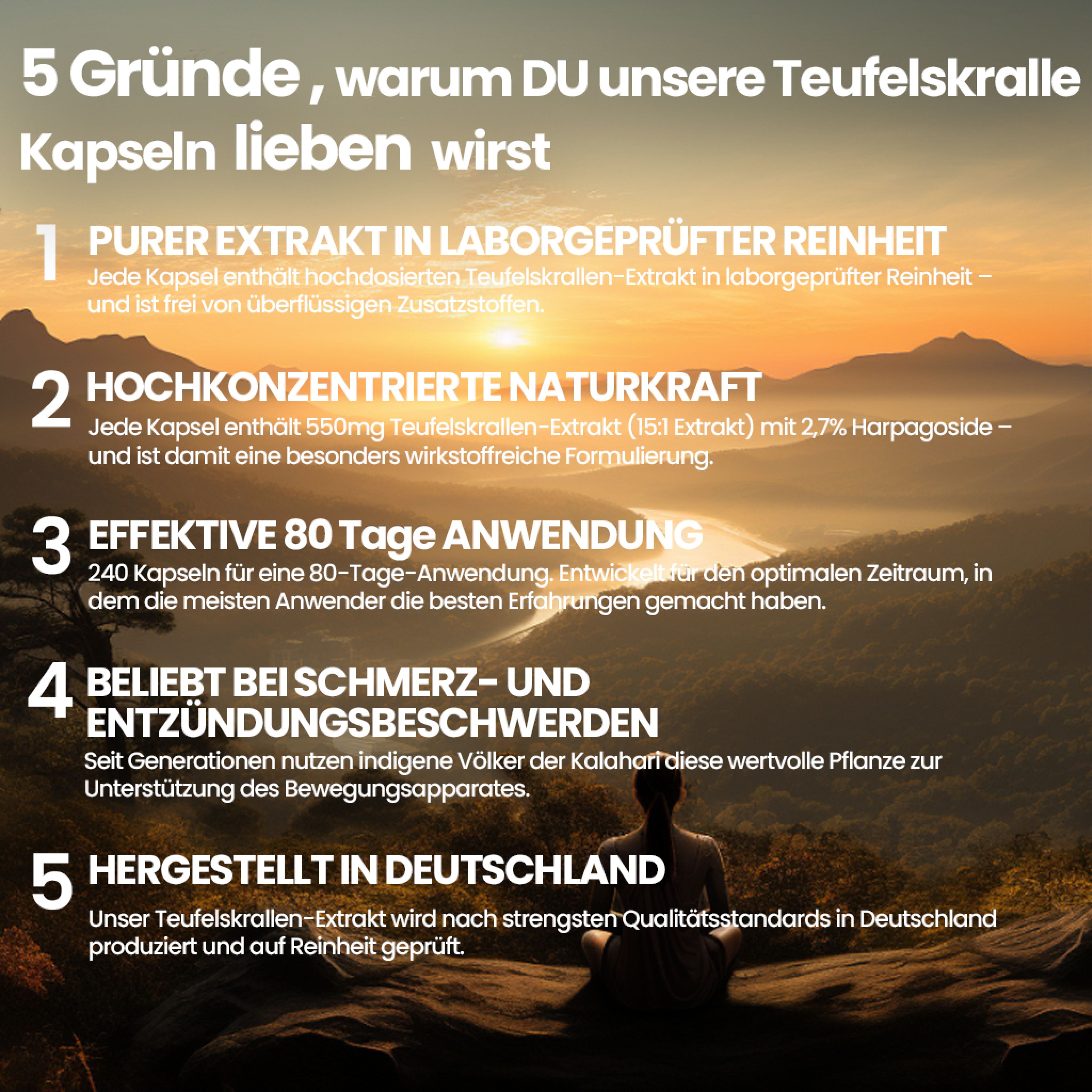 supplenatura Rheinland® - Teufelskralle Extrakt - Kapseln