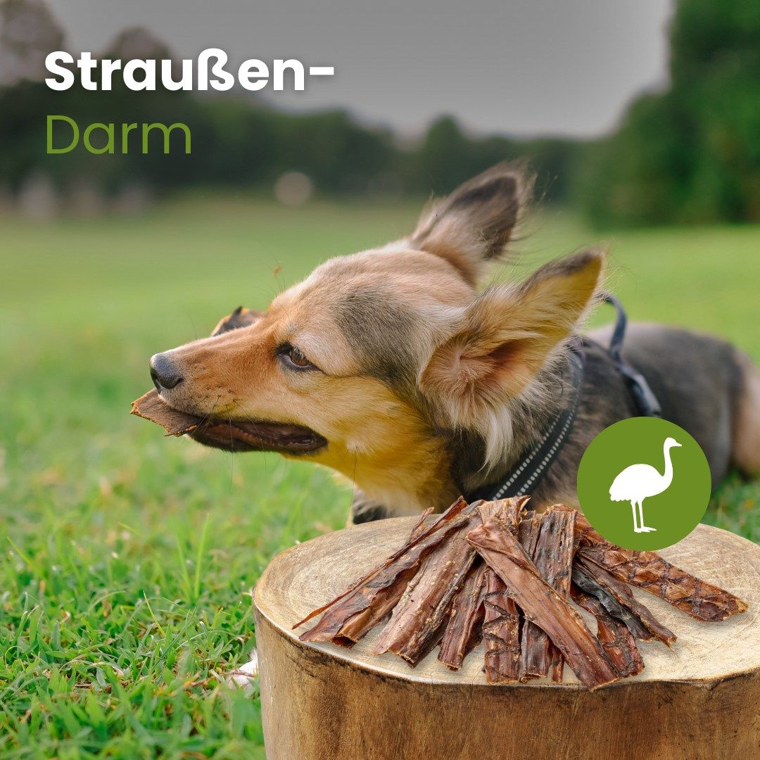 Getrocknete Straußendarm-Streifen für Hunde, braun.
