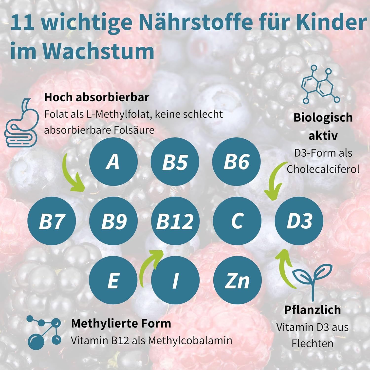 Grafik mit 11 Nährstoffen für Kinder. Vitamine A, B5, B6, B7, B9, B12, C, D3, E, I, Zn. L-Methylfolat, Methylcobalamin, D3 aus Flechten.