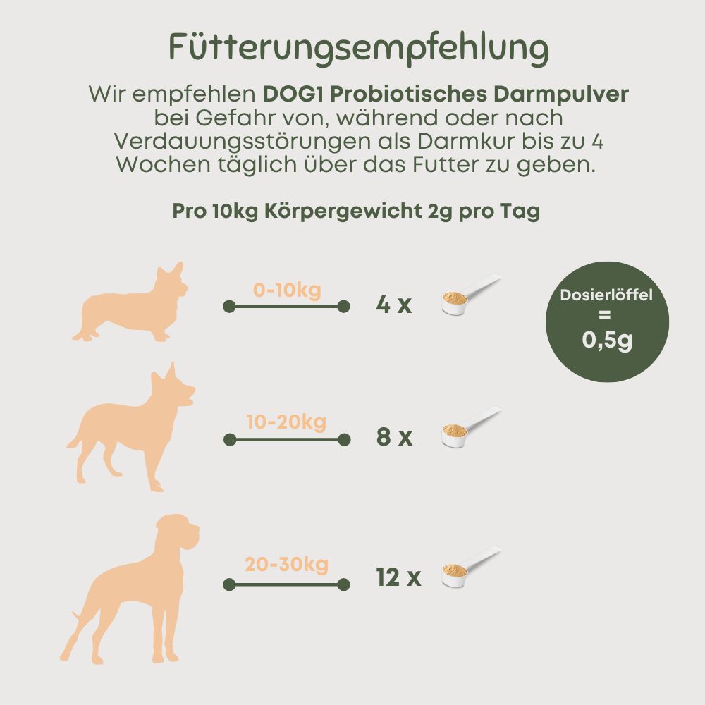 Grafik zur Fütterungsempfehlung. DOG1 Probiotisches Darmpulver. Pro 10kg Körpergewicht 2g pro Tag. Dosierlöffel = 0,5g. Hunde-Silhouetten mit Mengen.