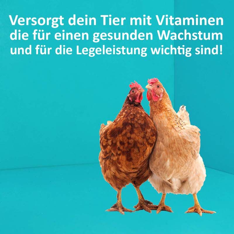 GreenHero Hühner Vitamine