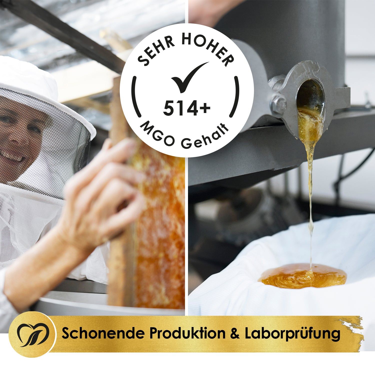 Frau mit Bienenwabe. Honig wird extrahiert. Aufschrift: Sehr hoher 514+ MGO Gehalt. Schonende Produktion & Laborprüfung.