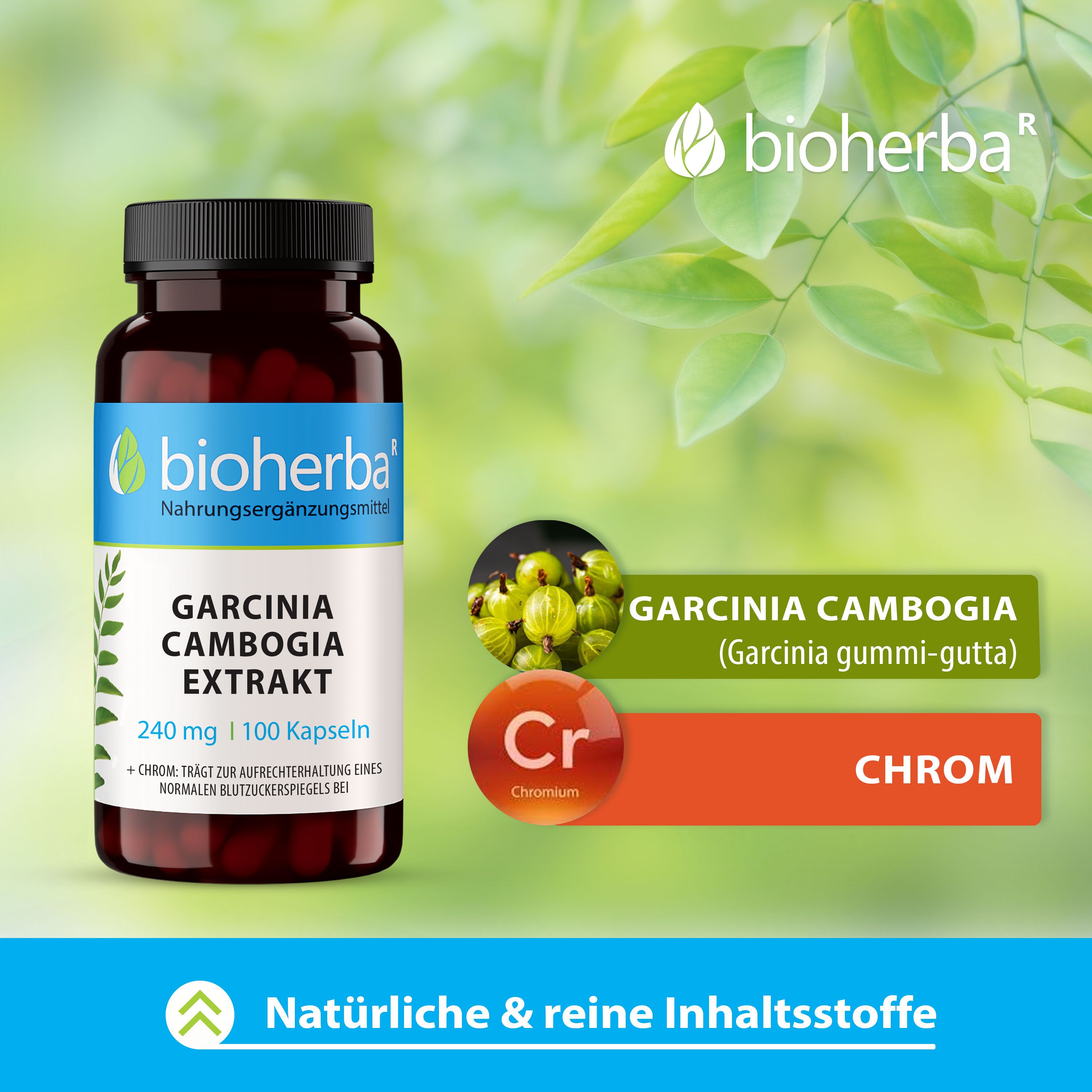 Produktabbildung mit Garcinia Cambogia und Chrom. Text: Garcinia Cambogia, Chrom. Marke und Logo. Natürliche & reine Inhaltsstoffe.