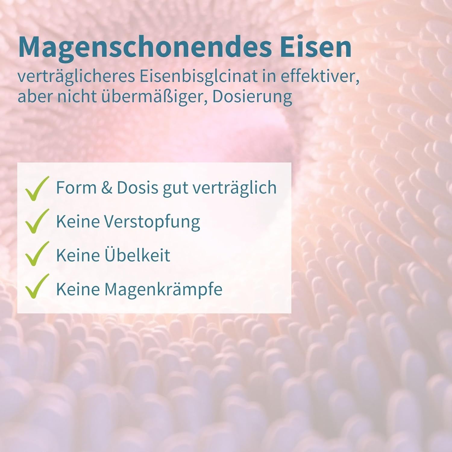 Igennus Eisenbisglycinat mit 100mg Vitamin C V2602-1644