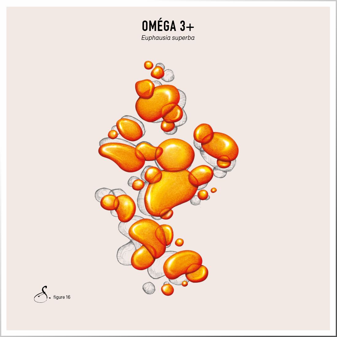 Sekoya Swiss - Omega 3+ |  DHA & EPA