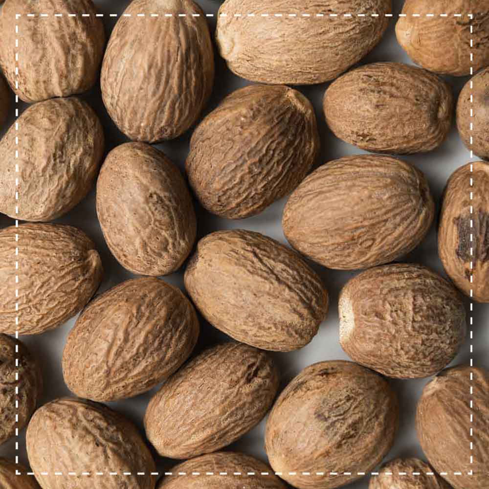 Biotiva Muskatnuss Bio