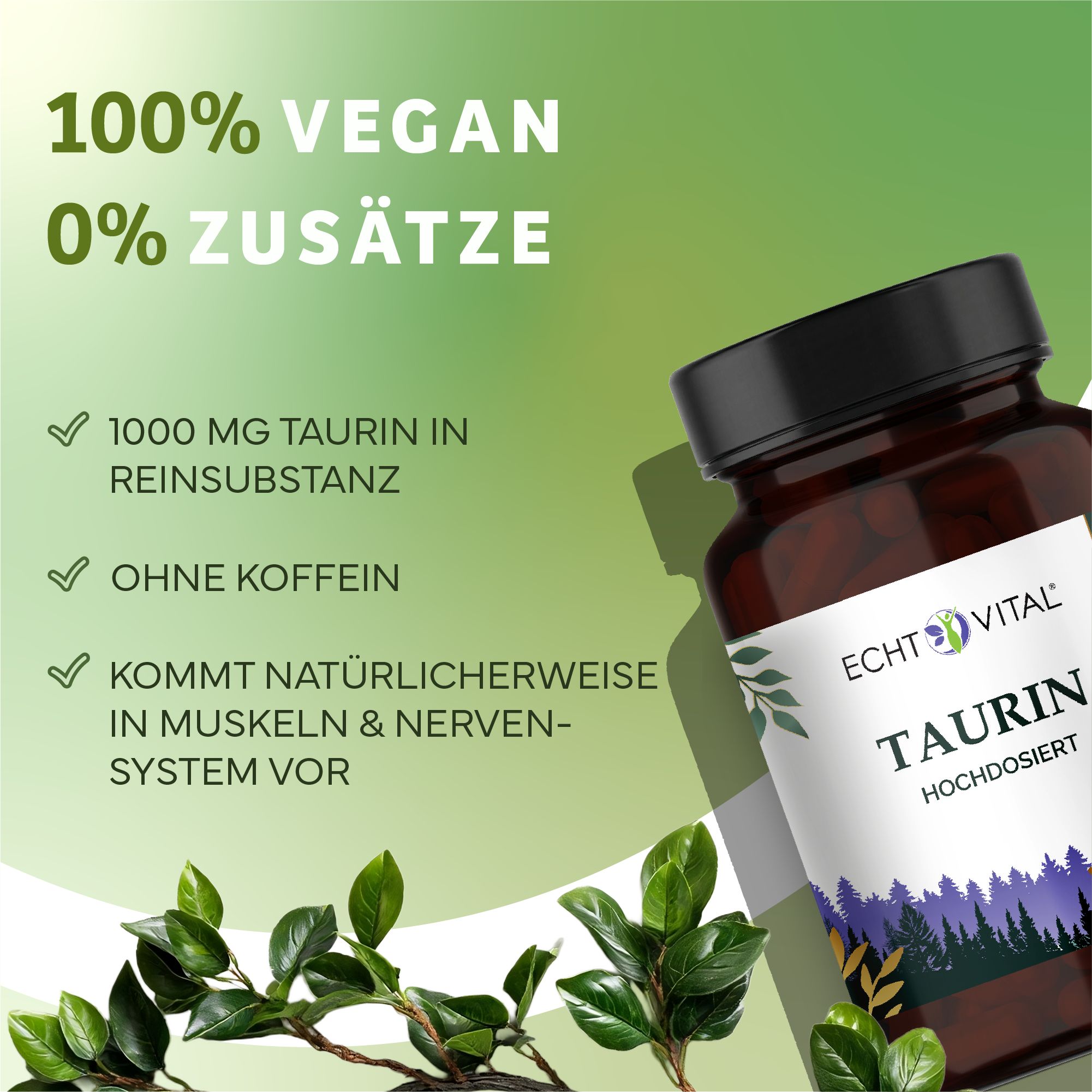 Braune Flasche mit schwarzem Deckel. Aufschrift: Echt Vital Taurin. Text: 100% vegan, 0% Zusätze, 1000 mg Taurin, ohne Koffein.