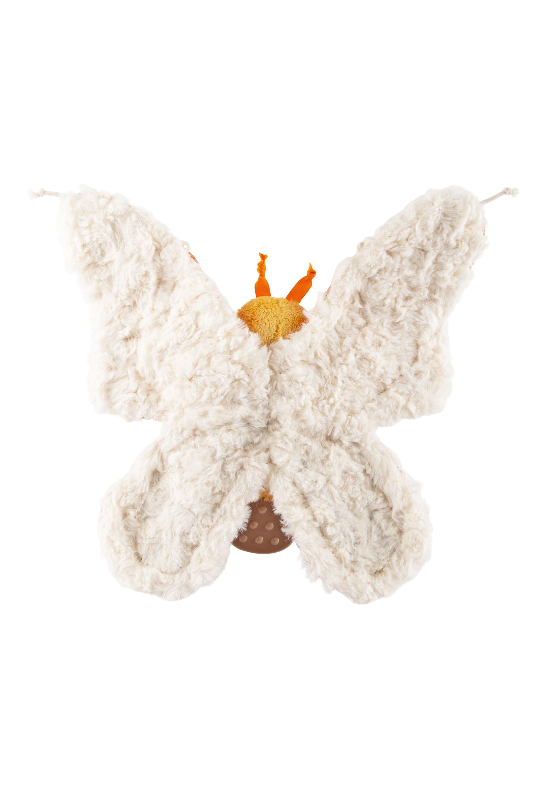 Rückansicht eines Schmetterlings. Flauschige, cremefarbene Flügel. Brauner Körperteil.