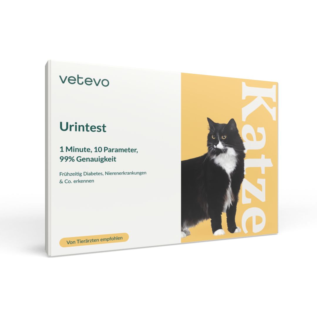 Urintest Katze