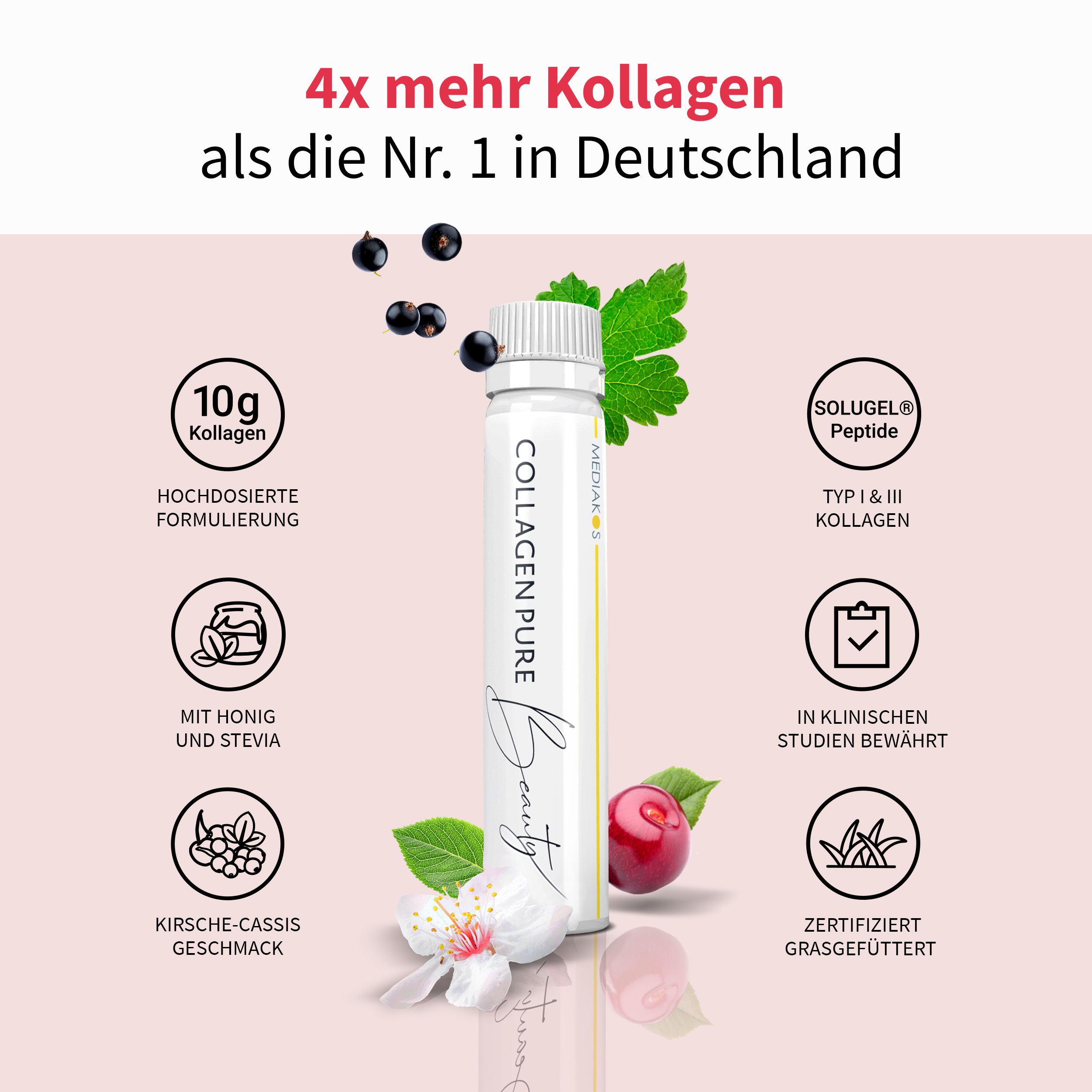 Ampulle COLLAGEN PURE Beauty mit Kirsch-Cassis-Geschmack. 10g Kollagen, Vitamin C, Biotin, Kupfer. Zertifiziert grasgefüttert.
