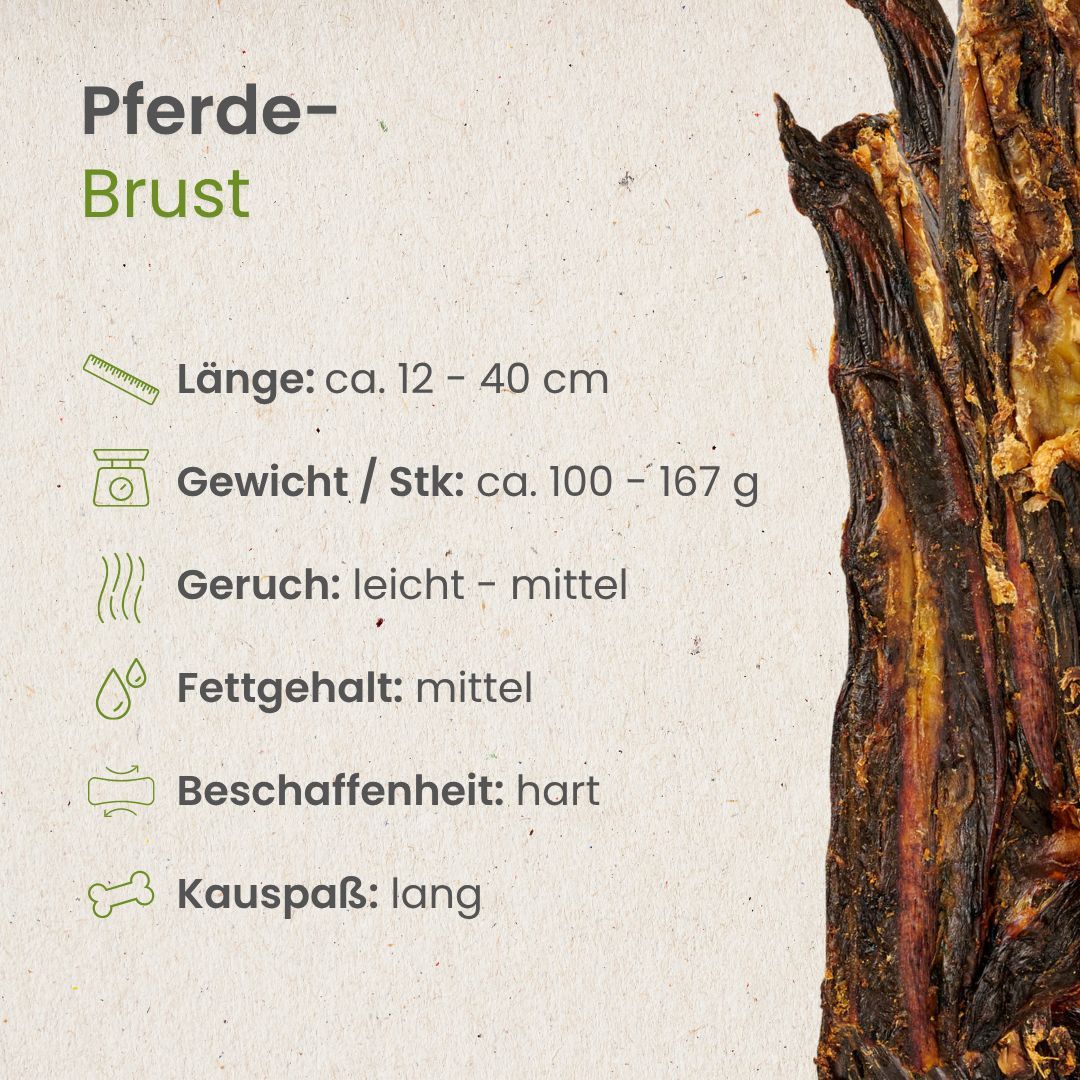 Zwei lange, getrocknete Pferdeprosten-Stücke.