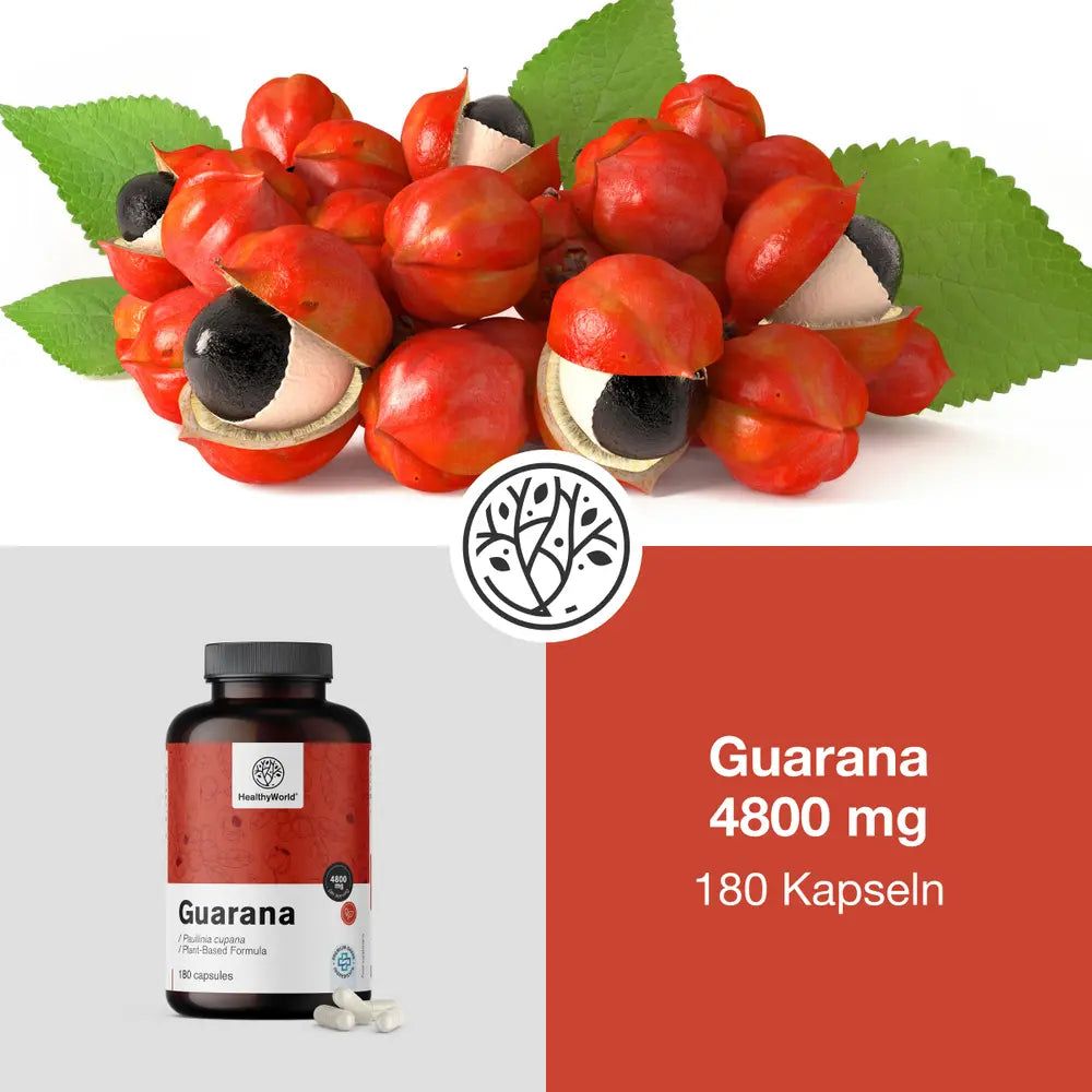Guarana-Früchte und Flasche mit Kapseln. Aufschrift: Guarana, 4800 mg, 180 Kapseln. Logo: HealthyWorld.