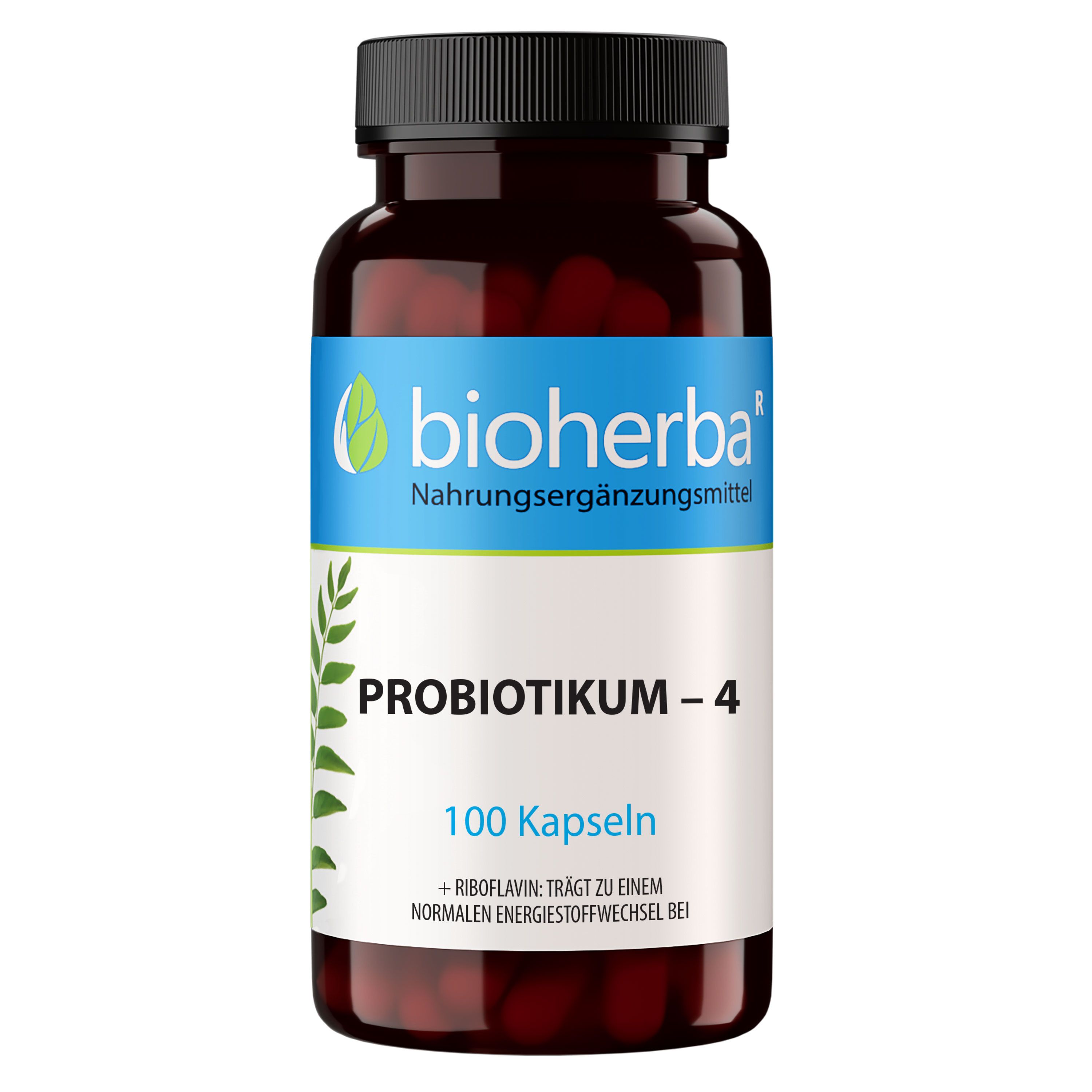 Braune Flasche mit schwarzen Deckel. Etikett mit "bioherba" Logo, "PROBIOTIKUM - 4" und "100 Kapseln".