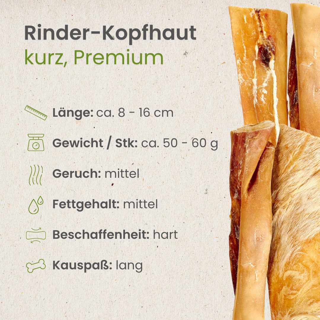 Hund kaut auf einem getrockneten Rinderkopfhaut-Stück, das auf einem Baumstumpf liegt.