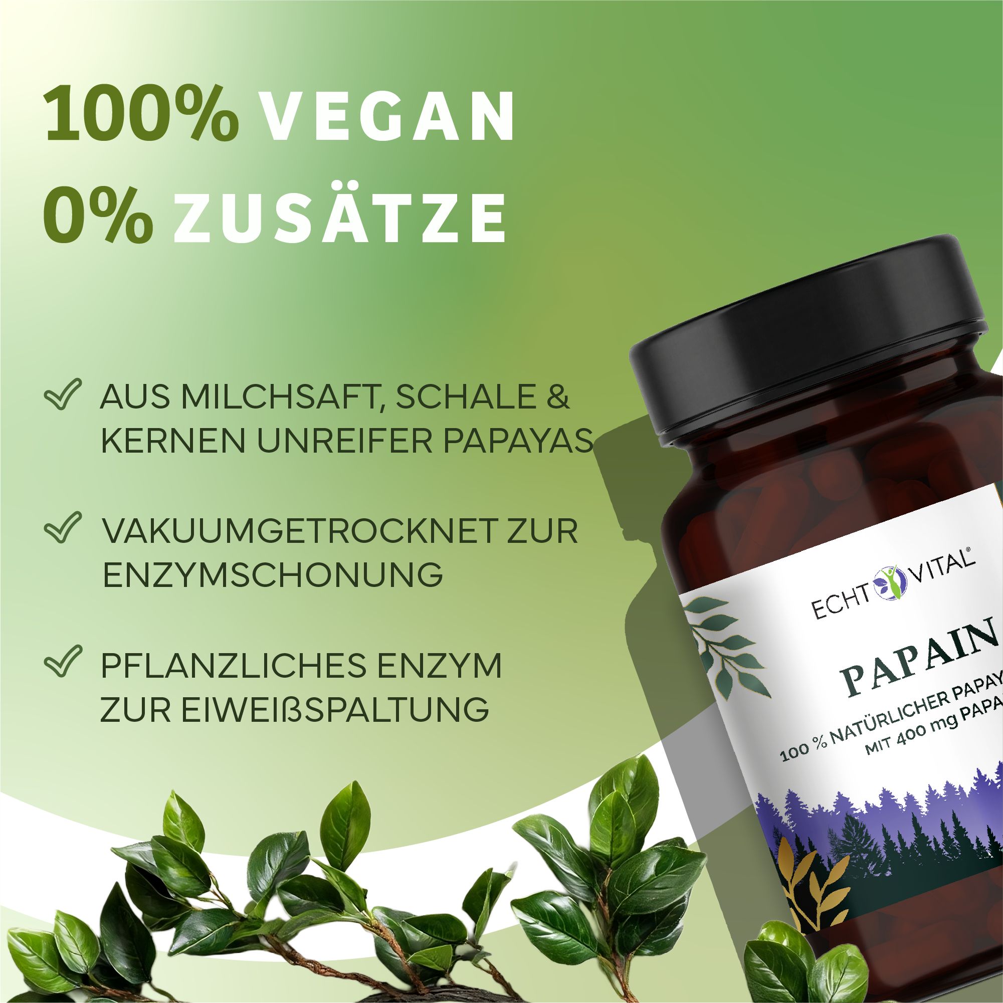 Braune Glasflasche mit schwarzem Deckel. Aufschrift: Echt Vital Papain. 100% vegan, 0% Zusätze. Aus Milchsaft, Schale & Kernen unreifer Papayas.